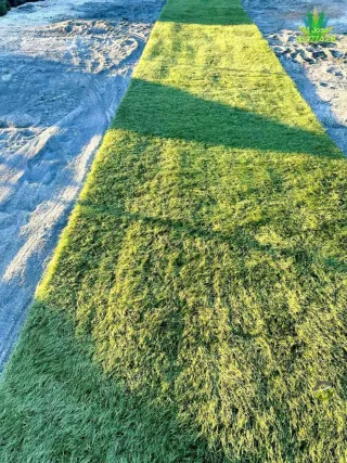 Césped artificial reciclado