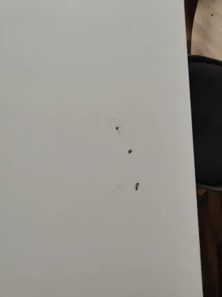 Mesa de comedor blanca de madera