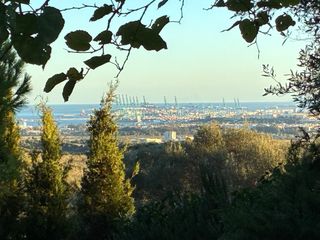 Parcela Rústica  Cerro Marcelo