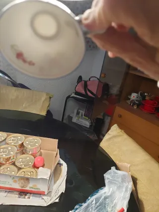 Juego de café antiguo floral de Porcelana china