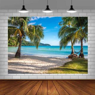 Fondo de fotografía de playa de verano tropical, h