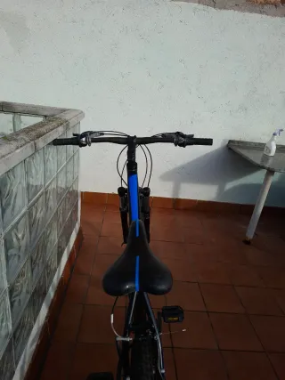 Bicicleta Kelly