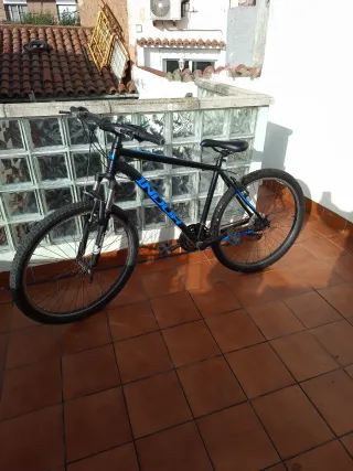 Bicicleta Kelly