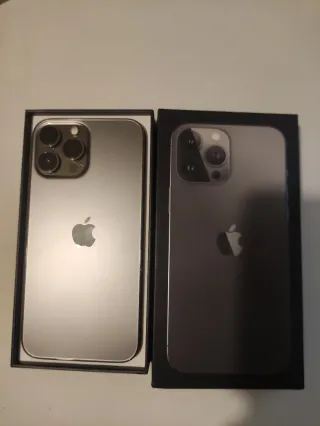iPhone 13 Pro Max Gris/Plata