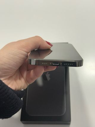 iPhone 13 Pro 256GB Gris/Plata