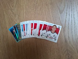 77 Cromos Panini Liga Hypermotion 25/26