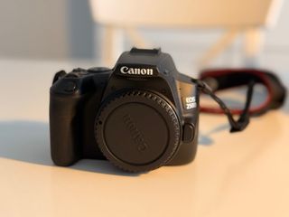 Canon EOS 250D | Pack Completo  (4K y Wifi)