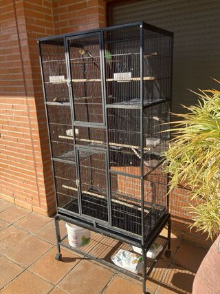 Jaula Grande Pájaros con Ruedas 83x53x180cm