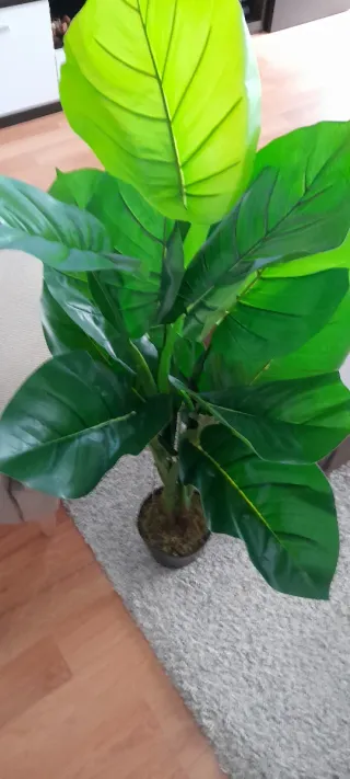 Planta artificial decorativa verde