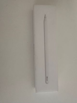 iPad Pro 12.9 5ª Gen M1 Plata