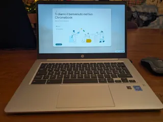 HP Chromebook 14a-na0049nl Argento