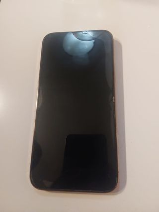 iPhone 13 Pro Max Oro/Plata