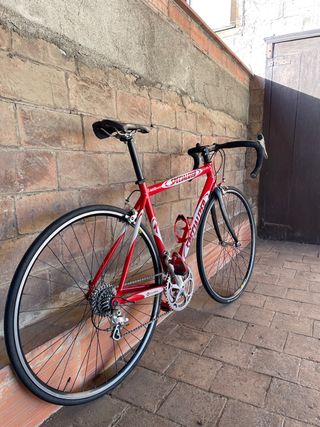 Specialized Allez Comp