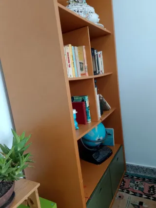Librería Mueble Madera y Plástico
