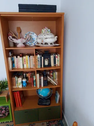 Librería Mueble Madera y Plástico