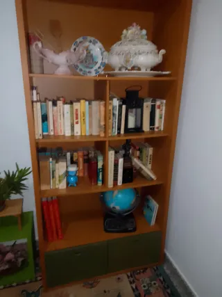 Librería Mueble Madera y Plástico