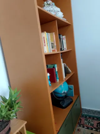 Librería Mueble Madera y Plástico