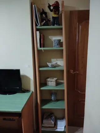 Habitación juvenil litera con armario