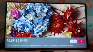 Televisión LG 49 pulgadas con Smart TV y WiFi