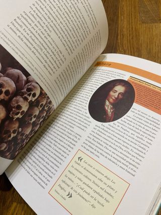 Filosofía – David Papineau (Blume)