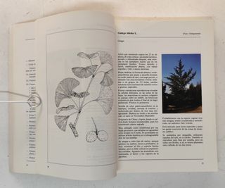 Catálogo de especies vegetales a utilizar en plant