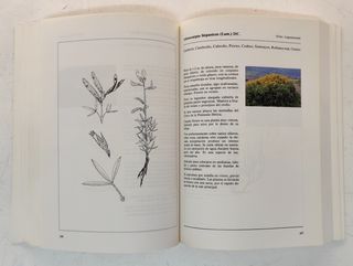 Catálogo de especies vegetales a utilizar en plant