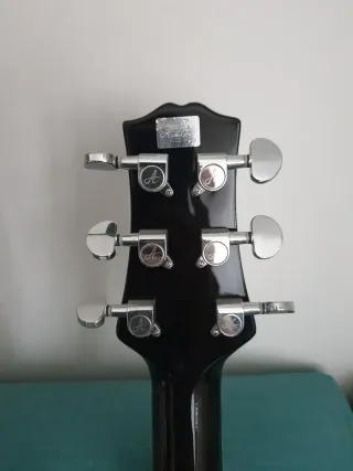 Guitarra Electroacústica Ashton Fishman SL29CEQ