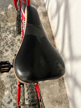 Bicicleta infantil roja GENOX 20