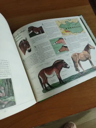 El gran libro de los animales
