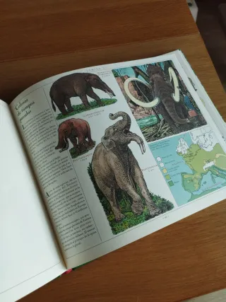 El gran libro de los animales