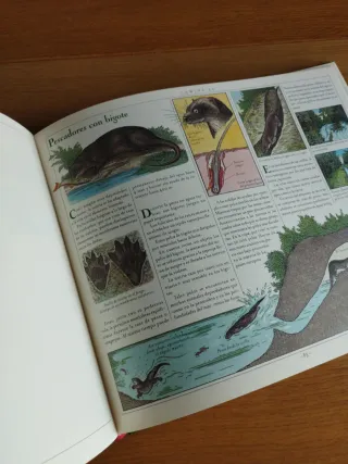 El gran libro de los animales