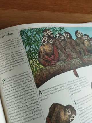 El gran libro de los animales