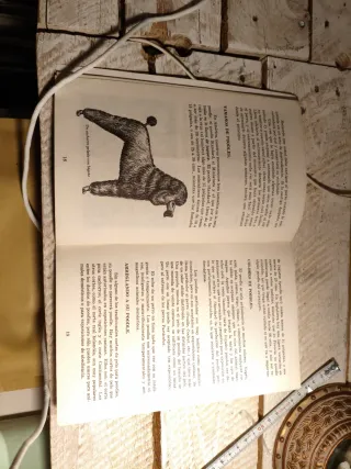 Revista Antigua Poodle Como Animales Domésticos