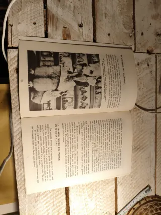 Revista Antigua Poodle Como Animales Domésticos