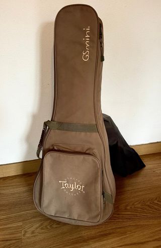 Taylor GS Mini Electroacústica ES-Go