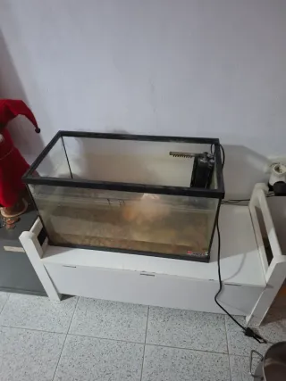 Regalo pecera de cristal y plástico