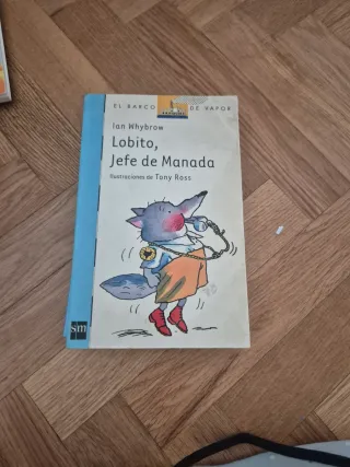 Coleccion De 10 libros de barco de vapor azul