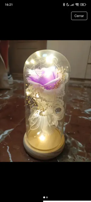 Flor preservada con luces LED en cristal
