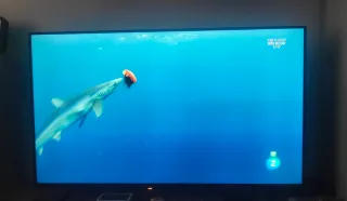 Televisión Xiaomi 55"