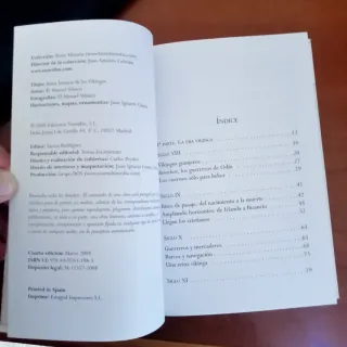 Breve historia de los Vikingos