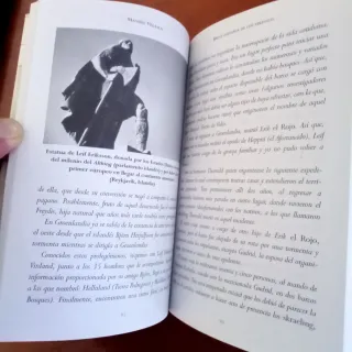 Breve historia de los Vikingos