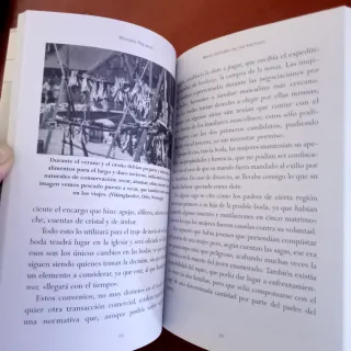 Breve historia de los Vikingos