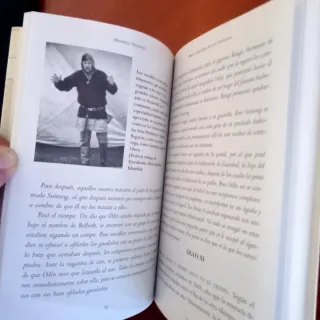 Breve historia de los Vikingos