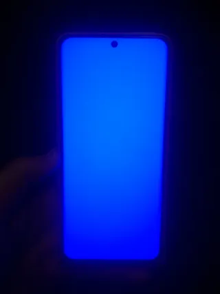 S21 Ultra 5G con cover posteriore danneggiata (questa settimana)