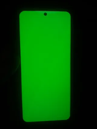 S21 Ultra 5G con cover posteriore danneggiata (questa settimana)