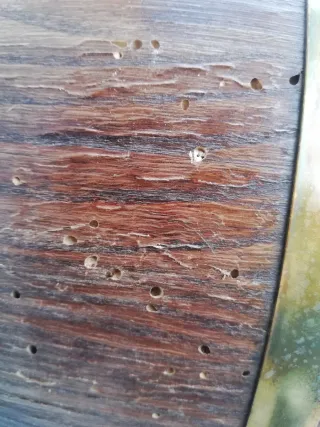 Piccola botte in legno con rubinetto