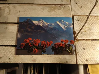 Libro guia sobre Suiza