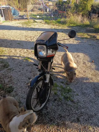 Derbi FDX de serie falta ITV papeles al día