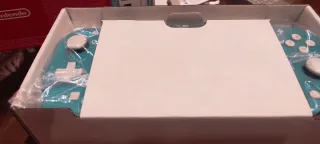 Nintendo Switch Lite Verde