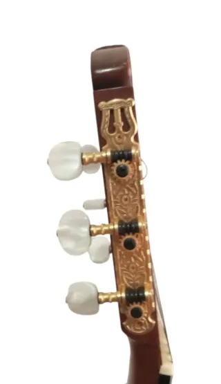 Guitarra Luthier Ryoji Matsuoka M50